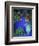 Majorelle Gardens, Marrakesh, Morocco, North Africa-Bruno Morandi-Framed Photographic Print