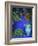 Majorelle Gardens, Marrakesh, Morocco, North Africa-Bruno Morandi-Framed Photographic Print