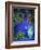 Majorelle Gardens, Marrakesh, Morocco, North Africa-Bruno Morandi-Framed Photographic Print