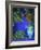 Majorelle Gardens, Marrakesh, Morocco, North Africa-Bruno Morandi-Framed Photographic Print