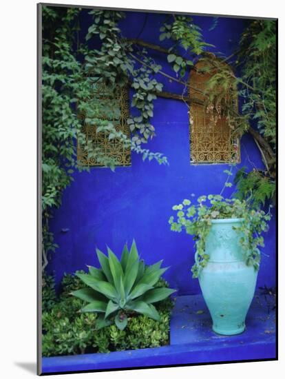 Majorelle Gardens, Marrakesh, Morocco, North Africa-Bruno Morandi-Mounted Photographic Print