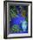 Majorelle Gardens, Marrakesh, Morocco, North Africa-Bruno Morandi-Framed Photographic Print