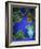 Majorelle Gardens, Marrakesh, Morocco, North Africa-Bruno Morandi-Framed Photographic Print