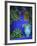 Majorelle Gardens, Marrakesh, Morocco, North Africa-Bruno Morandi-Framed Photographic Print