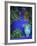 Majorelle Gardens, Marrakesh, Morocco, North Africa-Bruno Morandi-Framed Photographic Print