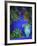 Majorelle Gardens, Marrakesh, Morocco, North Africa-Bruno Morandi-Framed Photographic Print