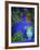 Majorelle Gardens, Marrakesh, Morocco, North Africa-Bruno Morandi-Framed Photographic Print