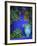 Majorelle Gardens, Marrakesh, Morocco, North Africa-Bruno Morandi-Framed Photographic Print