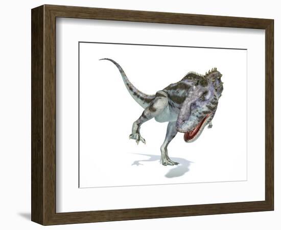 Majungasaurus Dinosaur, Artwork-null-Framed Photographic Print