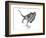 Majungasaurus Dinosaur, Artwork-null-Framed Photographic Print