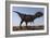 Majungasaurus in a Barren Environment-Stocktrek Images-Framed Art Print