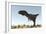 Majungasaurus in a Barren Environment-Stocktrek Images-Framed Art Print