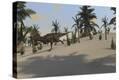 Stretched Canvas Print