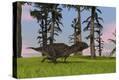 Stretched Canvas Print
