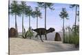 Stretched Canvas Print