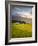 Makai Golf Course, Kauai, Hawaii, USA-Micah Wright-Framed Photographic Print