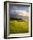 Makai Golf Course, Kauai, Hawaii, USA-Micah Wright-Framed Photographic Print