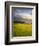 Makai Golf Course, Kauai, Hawaii, USA-Micah Wright-Framed Photographic Print