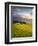 Makai Golf Course, Kauai, Hawaii, USA-Micah Wright-Framed Photographic Print