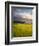 Makai Golf Course, Kauai, Hawaii, USA-Micah Wright-Framed Photographic Print