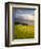 Makai Golf Course, Kauai, Hawaii, USA-Micah Wright-Framed Photographic Print