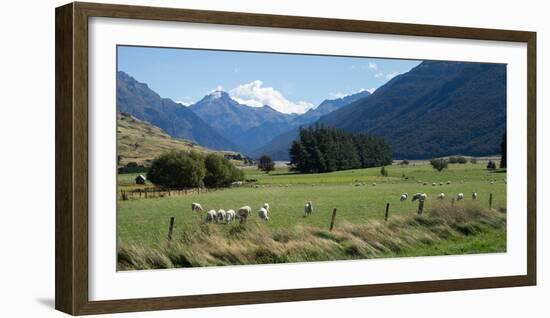 Makarora-Lake Hawea Road, State Highway 6, Queenstown-Lakes District, Otago Region, South Island...-null-Framed Photographic Print