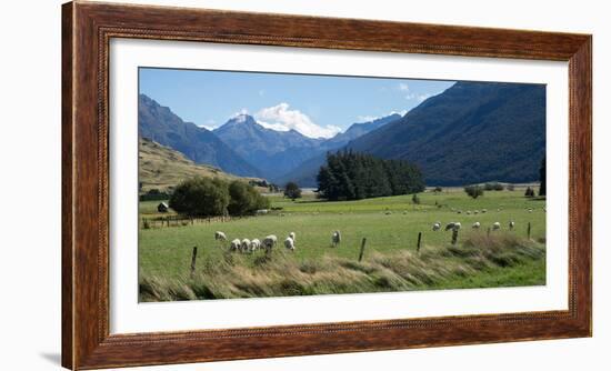 Makarora-Lake Hawea Road, State Highway 6, Queenstown-Lakes District, Otago Region, South Island...-null-Framed Photographic Print