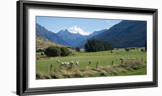 Makarora-Lake Hawea Road, State Highway 6, Queenstown-Lakes District, Otago Region, South Island...-null-Framed Photographic Print