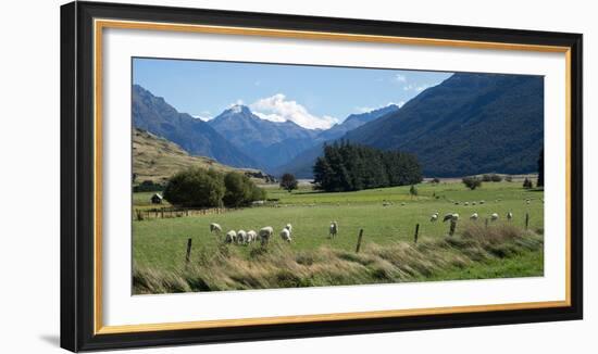 Makarora-Lake Hawea Road, State Highway 6, Queenstown-Lakes District, Otago Region, South Island...-null-Framed Photographic Print