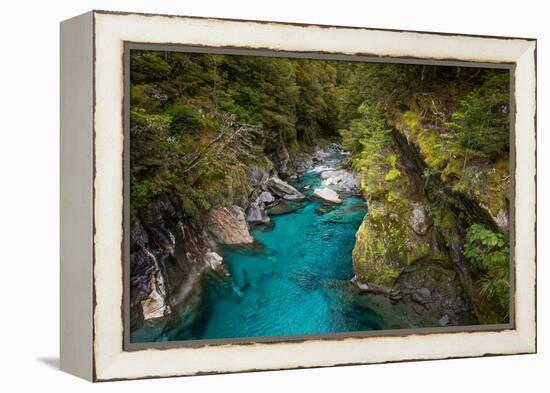 Makarora, New Zealand. The Blue Pools of Makarora offer enticing blue waters to swim in.-Micah Wright-Framed Premier Image Canvas