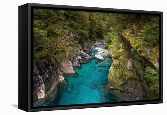 Makarora, New Zealand. The Blue Pools of Makarora offer enticing blue waters to swim in.-Micah Wright-Framed Premier Image Canvas