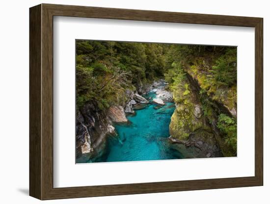 Makarora, New Zealand. The Blue Pools of Makarora offer enticing blue waters to swim in.-Micah Wright-Framed Photographic Print