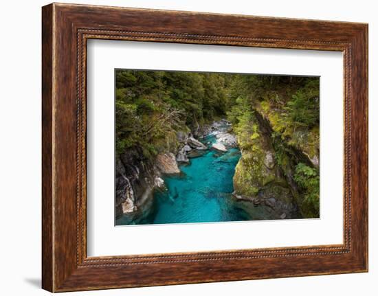 Makarora, New Zealand. The Blue Pools of Makarora offer enticing blue waters to swim in.-Micah Wright-Framed Photographic Print