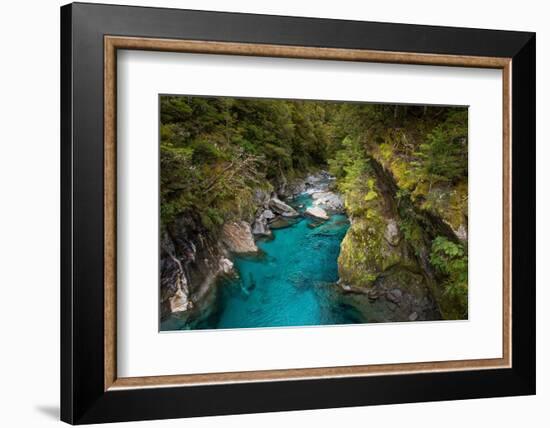 Makarora, New Zealand. The Blue Pools of Makarora offer enticing blue waters to swim in.-Micah Wright-Framed Photographic Print