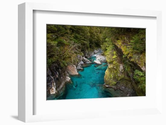 Makarora, New Zealand. The Blue Pools of Makarora offer enticing blue waters to swim in.-Micah Wright-Framed Photographic Print