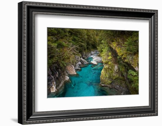 Makarora, New Zealand. The Blue Pools of Makarora offer enticing blue waters to swim in.-Micah Wright-Framed Photographic Print