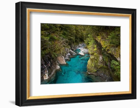 Makarora, New Zealand. The Blue Pools of Makarora offer enticing blue waters to swim in.-Micah Wright-Framed Photographic Print