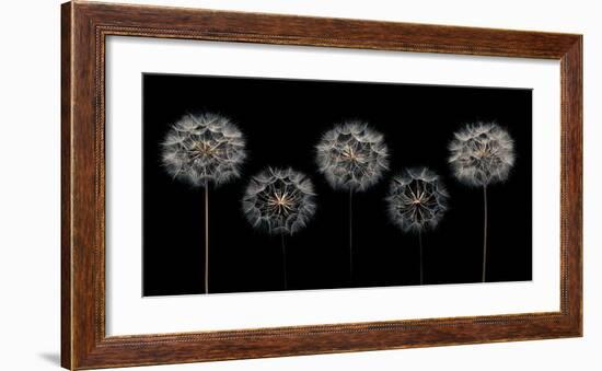 Make A Wish-Assaf Frank-Framed Giclee Print