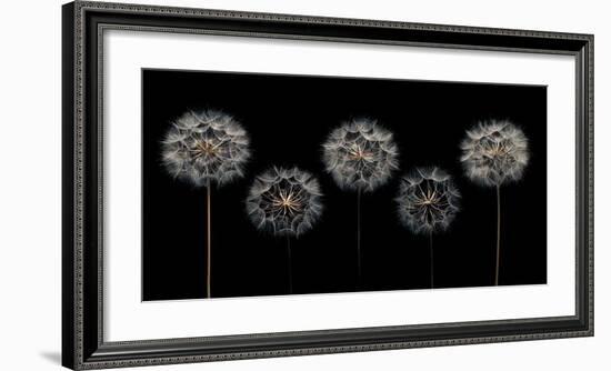 Make A Wish-Assaf Frank-Framed Giclee Print