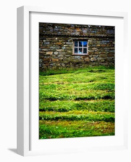 Make Hay While the Sun Shines-Doug Chinnery-Framed Photographic Print