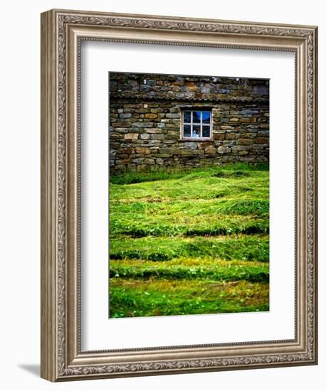 Make Hay While the Sun Shines-Doug Chinnery-Framed Photographic Print