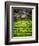Make Hay While the Sun Shines-Doug Chinnery-Framed Photographic Print