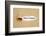 Make it Happen Torn Paper-Ivelin Radkov-Framed Photographic Print