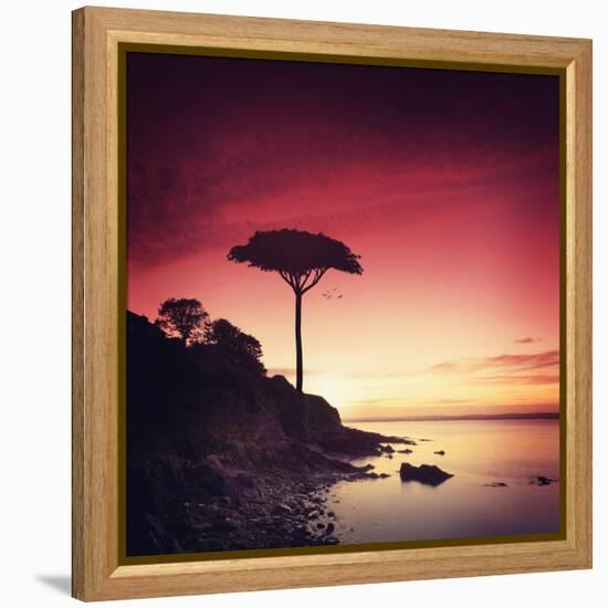 Make it Real for Me-Philippe Sainte-Laudy-Framed Premier Image Canvas