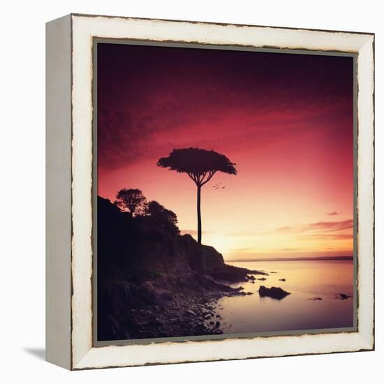 Make it Real for Me-Philippe Sainte-Laudy-Framed Premier Image Canvas