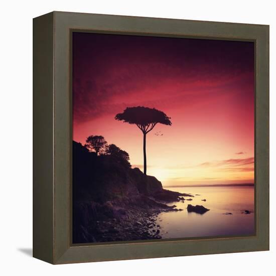 Make it Real for Me-Philippe Sainte-Laudy-Framed Premier Image Canvas