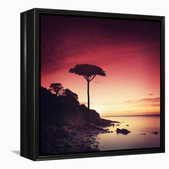 Make it Real for Me-Philippe Sainte-Laudy-Framed Premier Image Canvas