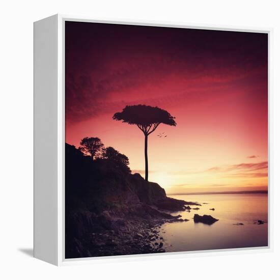 Make it Real for Me-Philippe Sainte-Laudy-Framed Premier Image Canvas