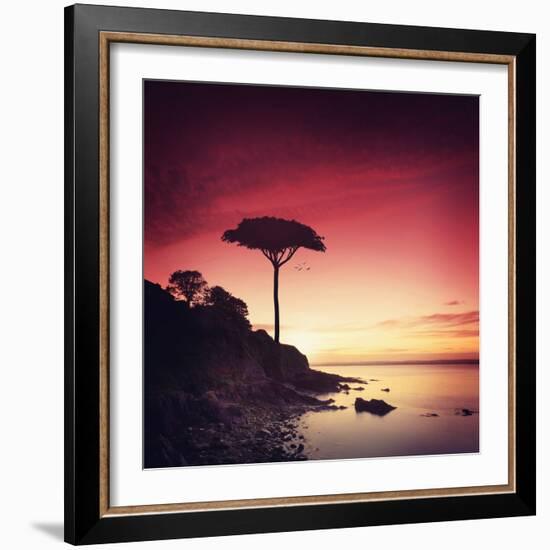 Make it Real for Me-Philippe Sainte-Laudy-Framed Photographic Print