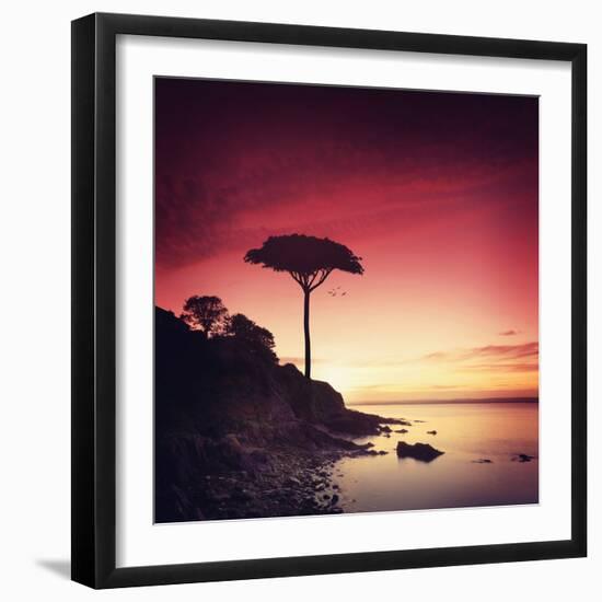 Make it Real for Me-Philippe Sainte-Laudy-Framed Photographic Print